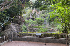 Loro Park, Tenerife 46