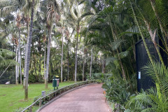 Loro Park, Tenerife 49