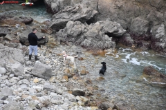 Lulworth Cove, Anglia 103