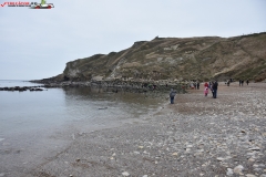 Lulworth Cove, Anglia 26