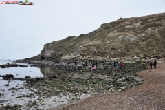 Lulworth Cove, Anglia 33