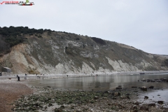 Lulworth Cove, Anglia 41