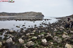 Lulworth Cove, Anglia 47