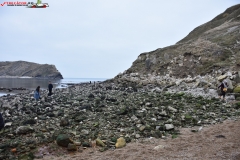 Lulworth Cove, Anglia 51