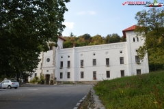 Mănăstirea Arnota 15