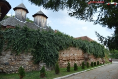 Manastirea Bascovele 27