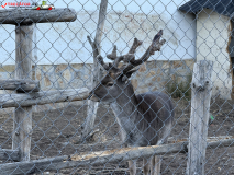 Mănăstirea Batkun, Bulgaria 03