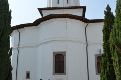 Manastirea Brancoveni 14