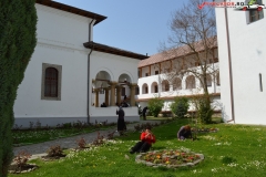 Manastirea Brancoveni 15