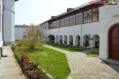Manastirea Brancoveni 21
