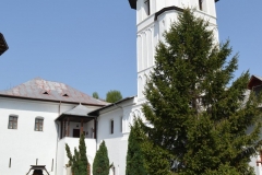 Manastirea Brancoveni 27