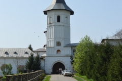 Manastirea Brancoveni 8