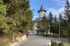 Mănăstirea Brazi 23