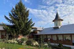 Mănăstirea Brazi 47