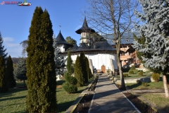 Manastirea Bujoreni 37