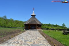 Mănăstirea Buna Vestire Bolintin Vale 31