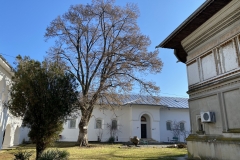 Mănăstirea Căldarușani 27