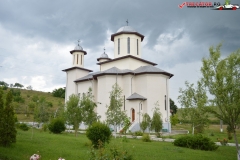 Mănăstirea Călui 8