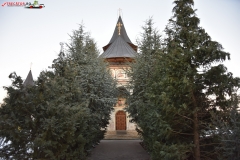 Mănăstirea Cămărzani 10