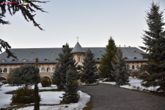 Mănăstirea Cămărzani 12