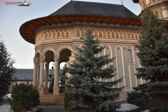 Mănăstirea Cămărzani 29