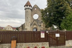 Mănăstirea Cârța 04