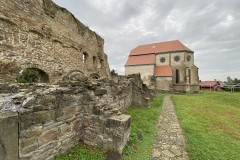 Mănăstirea Cârța 75
