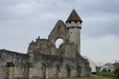 Mănăstirea Cârța 80