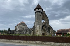 Mănăstirea Cârța 96
