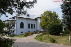 Mănăstirea Cernica 20