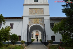 Mănăstirea Cernica 28