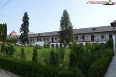 Mănăstirea Cernica 31