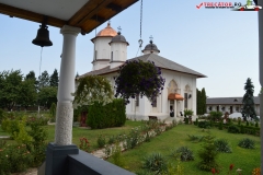 Mănăstirea Cernica 53