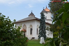 Mănăstirea Cernica 57