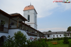 Mănăstirea Cernica 58