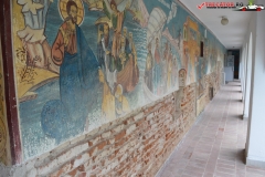 Mănăstirea Cernica 59