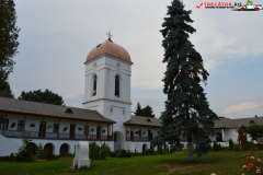 Mănăstirea Cernica 60