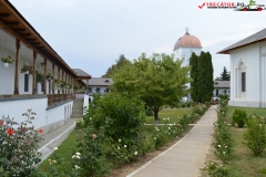 Mănăstirea Cernica 62