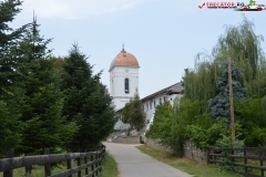 Mănăstirea Cernica 72
