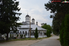 Mănăstirea Cernica 78