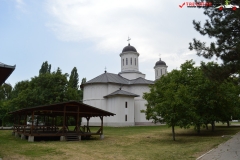 Mănăstirea Cernica 79
