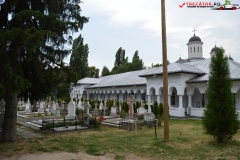Mănăstirea Cernica 81