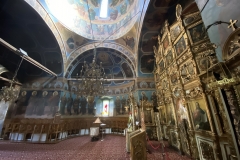 Manastirea Ciolanu 18