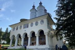 Manastirea Ciolanu 29