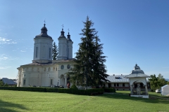 Manastirea Ciolanu 32