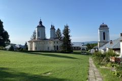 Manastirea Ciolanu 36