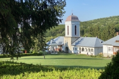 Manastirea Ciolanu 46