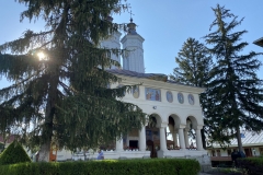 Manastirea Ciolanu 50