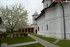 Manastirea Clocociov 19
