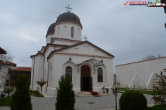 Mănăstirea Comana 10